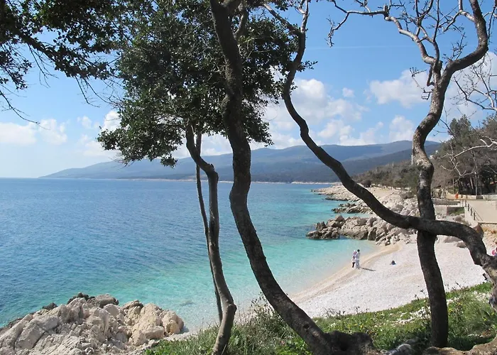 Palma-5 By Interhome Lejlighed